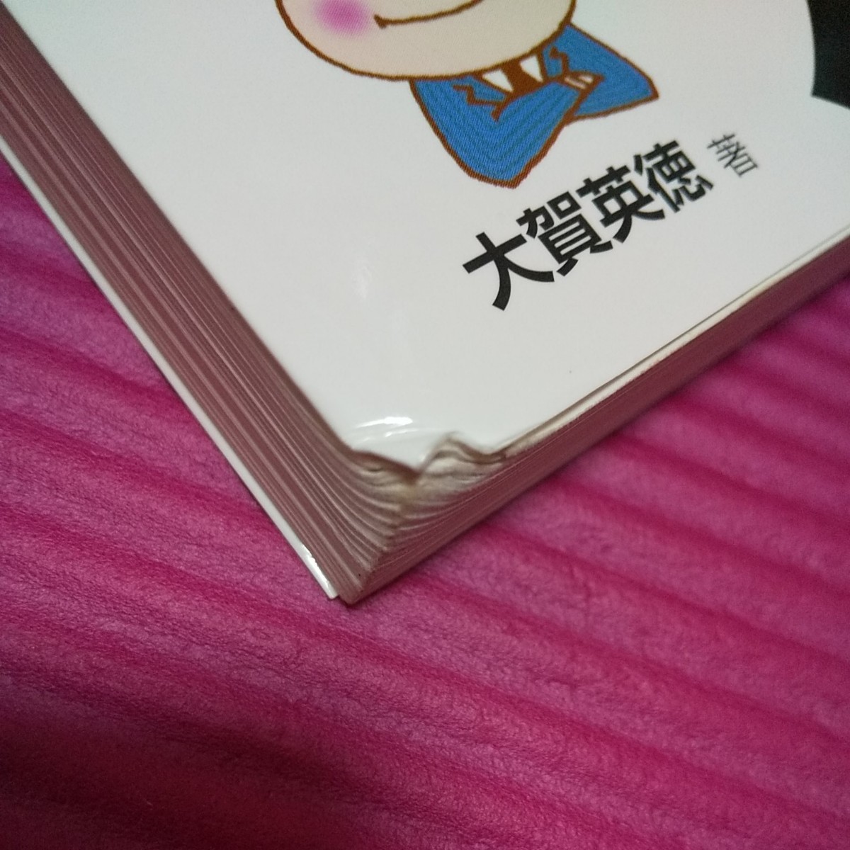 Paypayフリマ 19年度版 公務員試験 面接カード 面接 官庁訪問対策本 2冊