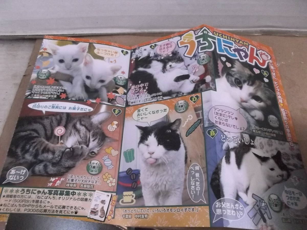 ヤフオク 瀬田ヒナコ イラスト 絵 ネコ 猫写真 シール 計 ヤフオク 瀬田ヒナコ イラスト 絵 ネコ 猫写真 シール 計