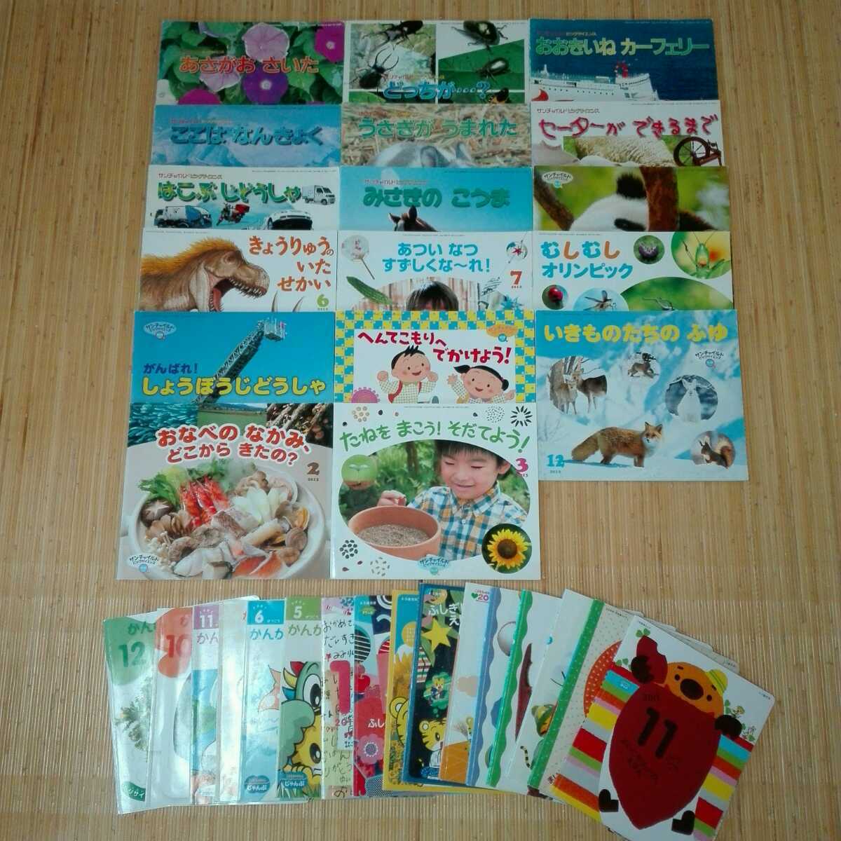 ヤフオク! - サンチャイルドビッグサイエンス 17冊 チャイル... ヤフオク! - サンチャイルドビッグサイエンス 17冊 チャイル...