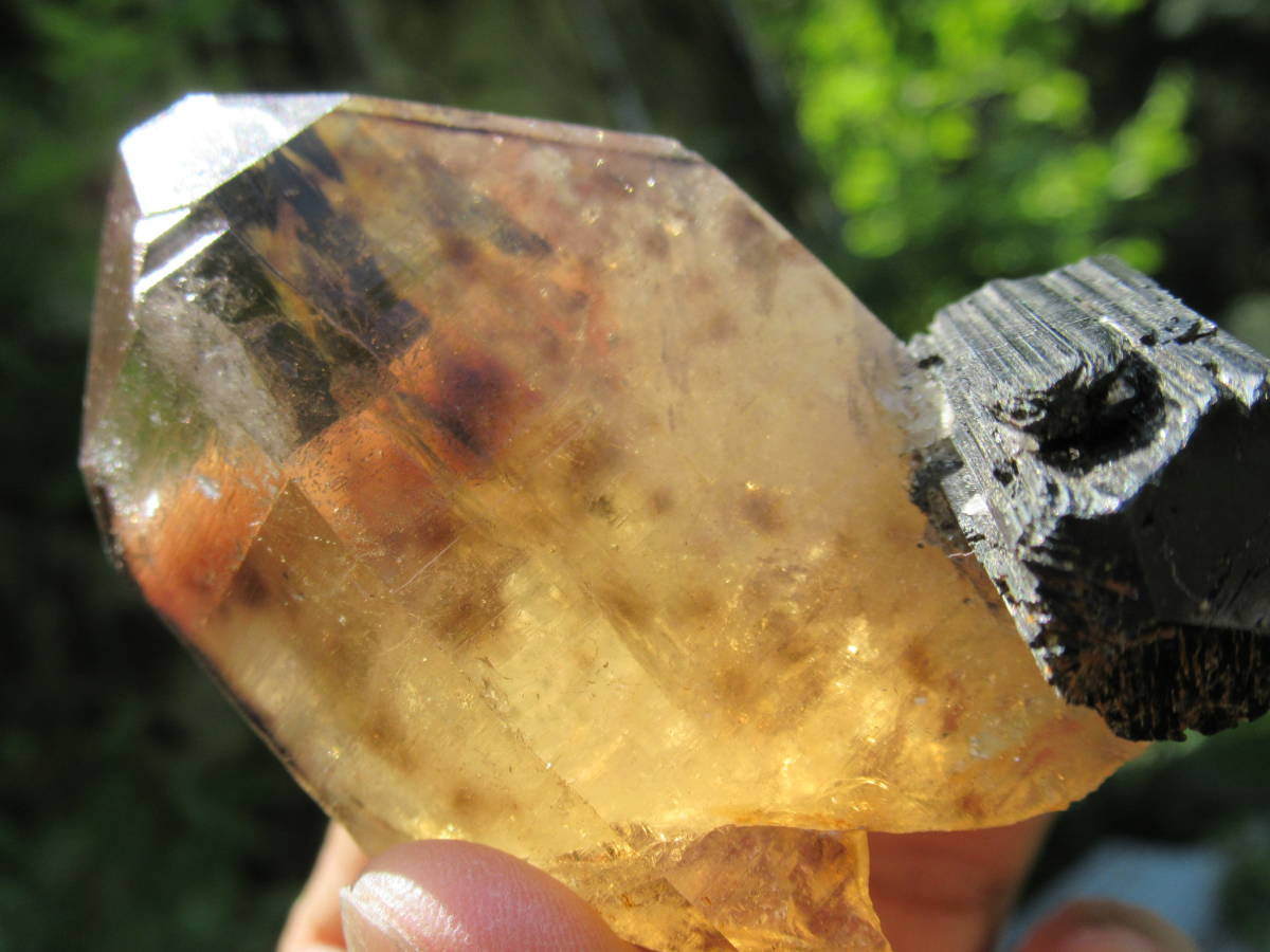【SALE／55%OFF】 ブラジル産のハロ水晶いわゆるブチ水晶黒トルマリン付き 原石