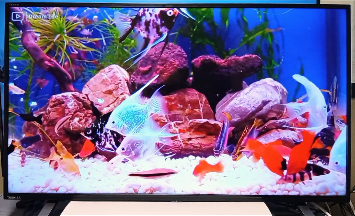 2022年東芝製40インチ インターネットTV