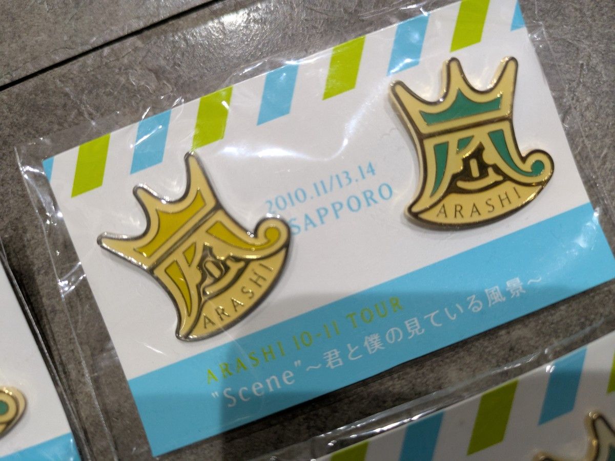 嵐 君と僕の見ている風景グッズ☆ピンバッジ 嵐 Scene 君と僕の見ている風景 ピンバッジ ピンズ 会場限定