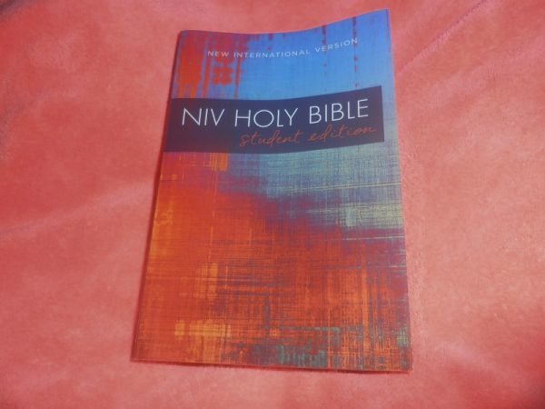 NIV Holy Bible: New International Version, Red/Blue Graphic_画像1