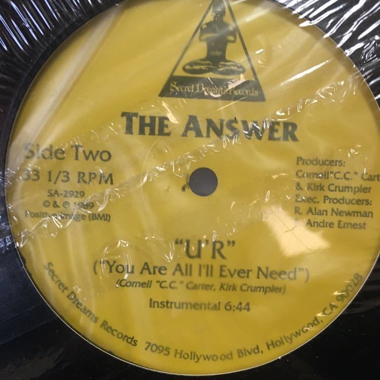 . rare njs U\'R (You Are All I\'ll Ever Need) / The Answer original 12 -inch first of all, see not new Jack swing 