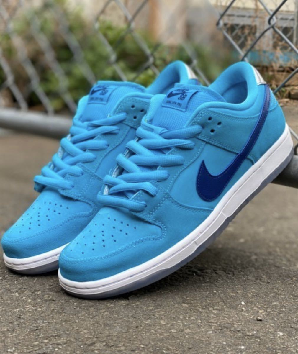 Nike sb dunk low pro blue