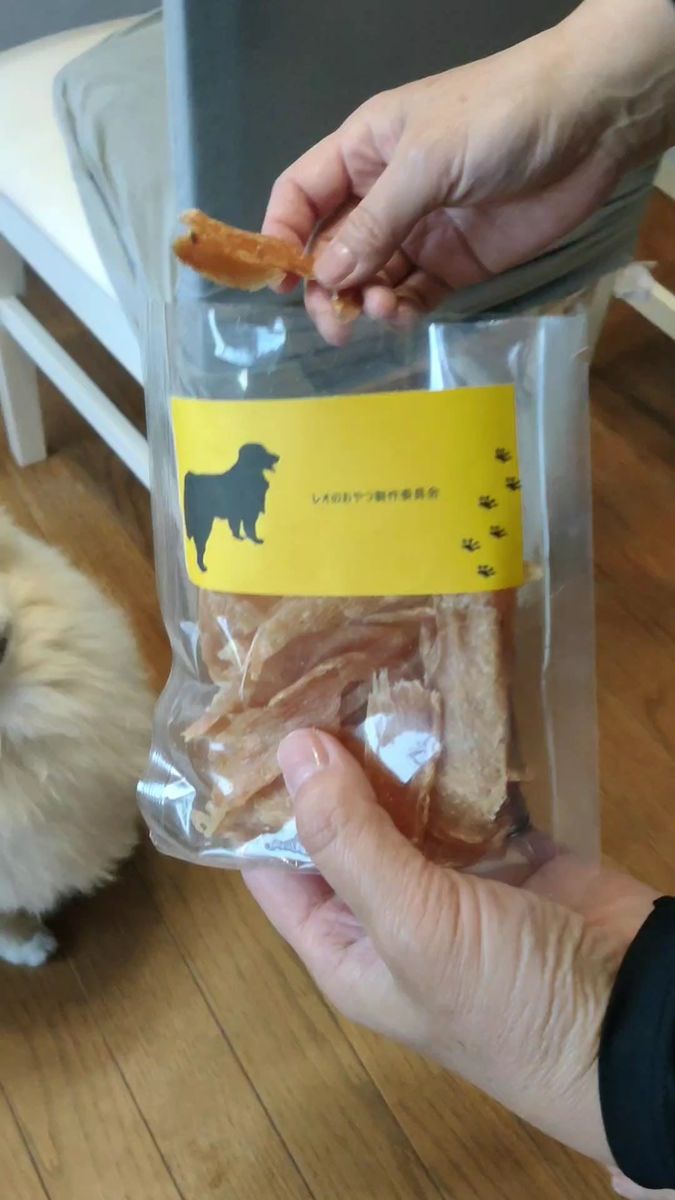 鶏むね肉ジャーキー 30g お試し用