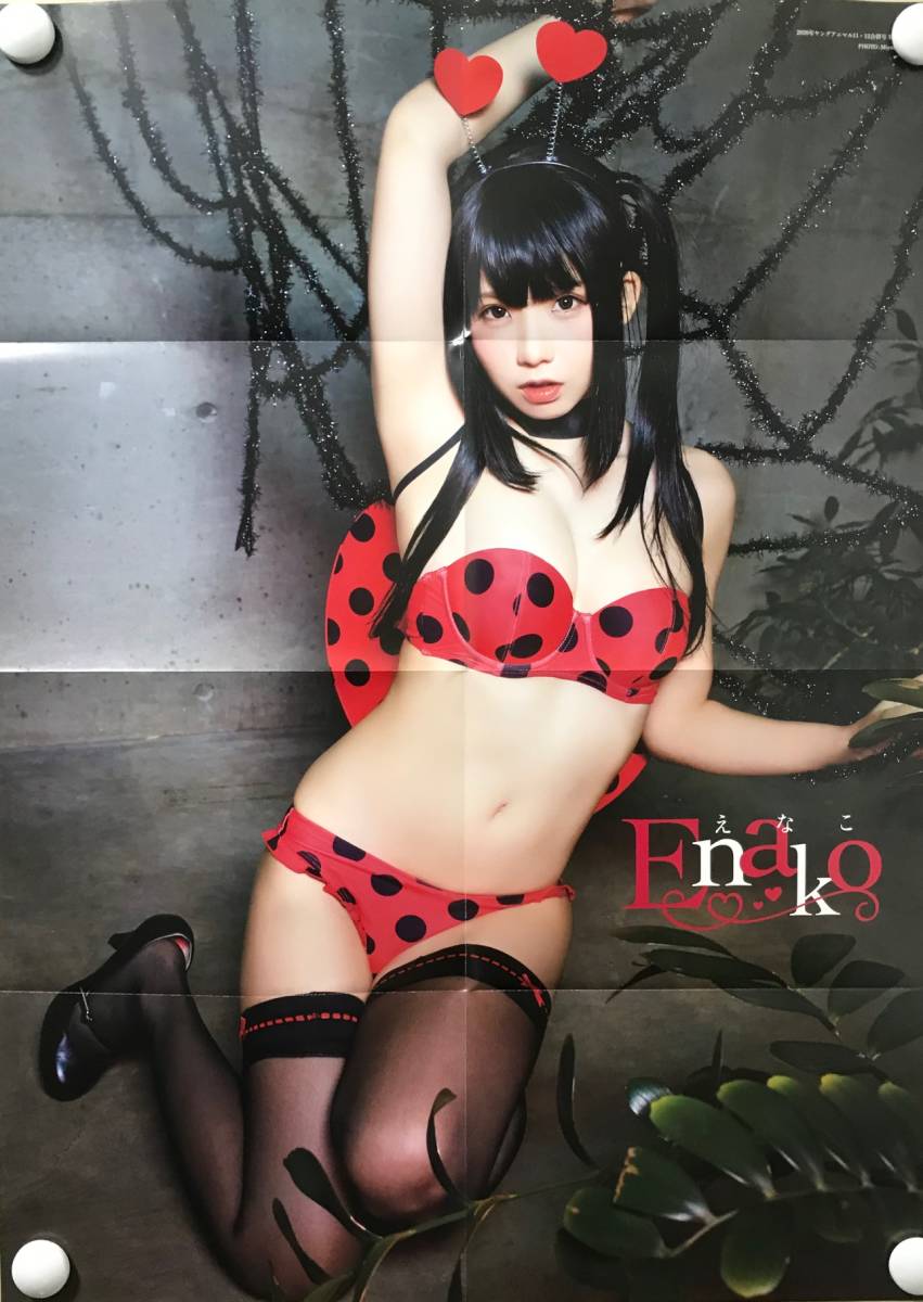 ヤフオク 未開封 ya えなこ 最新両面ポスター コスプレ ヤフオク 未開封 ya えなこ 最新両面ポスター コスプレ