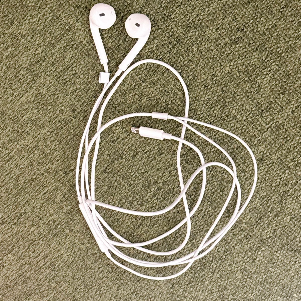iPhone ライトニングケーブル&コンセントセット 2ポート USB 急速充電 安い アダプター lightning cable 充電 1m