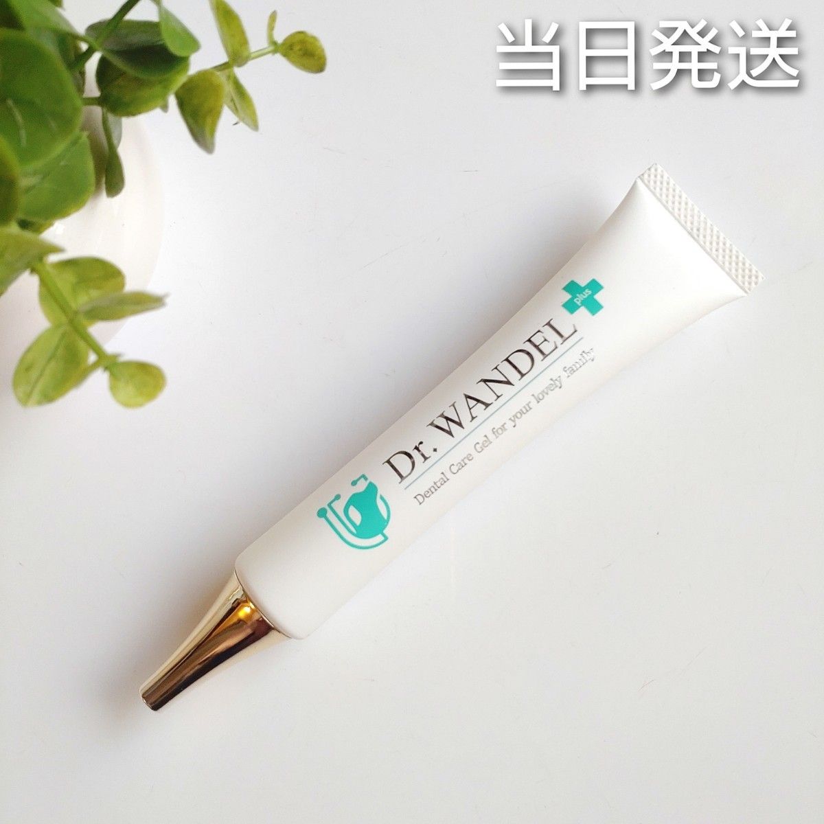 安い 当日発送 WANDEL プラス【新品未開封】Dr ドクターワンデル お手入れ・トリミング用品