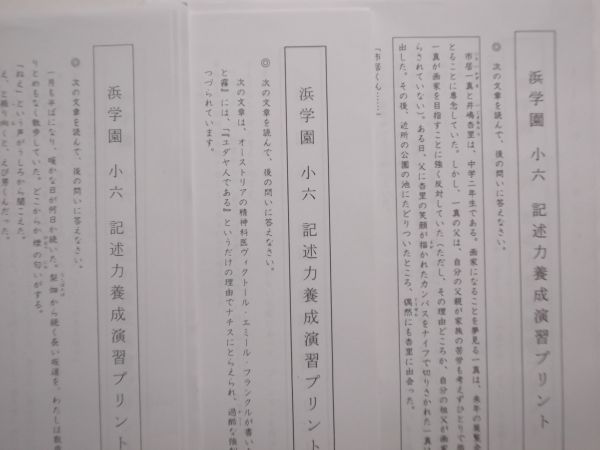 浜学園 (2017年度) 小6 国語記述力養成講座 №2～№4_画像2