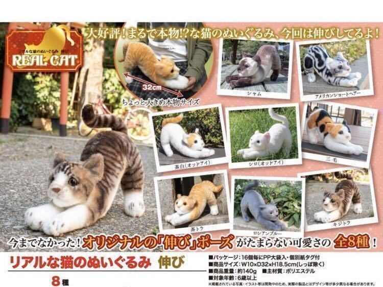 ヤフオク 新品 未開封 リアルな猫のぬいぐるみ 伸び 茶白 ヤフオク 新品 未開封 リアルな猫のぬいぐるみ 伸び 茶白