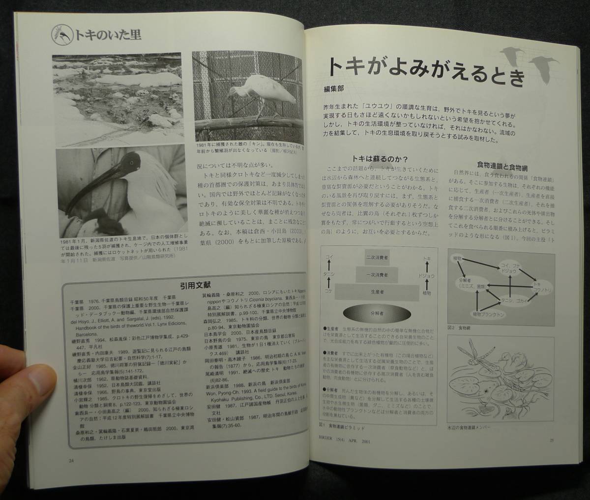 【超希少、美品】古本　バードウォッチングマガジン　バーダー　Ｂｉｒｄｅｒ　特集：トキのいた里　2001年4月　Vol.15 No.4　文一総合出版_画像9