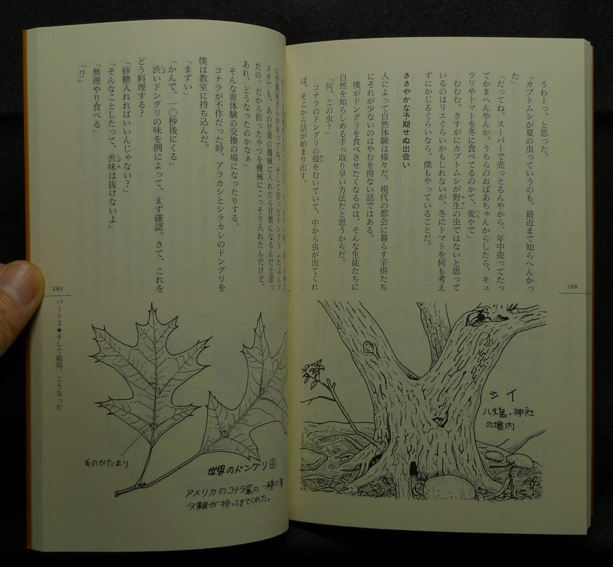 [ super rare ][ new goods average beautiful goods ] secondhand book Don Gris. mystery ..., meal .., thought . author :.. full .... company 