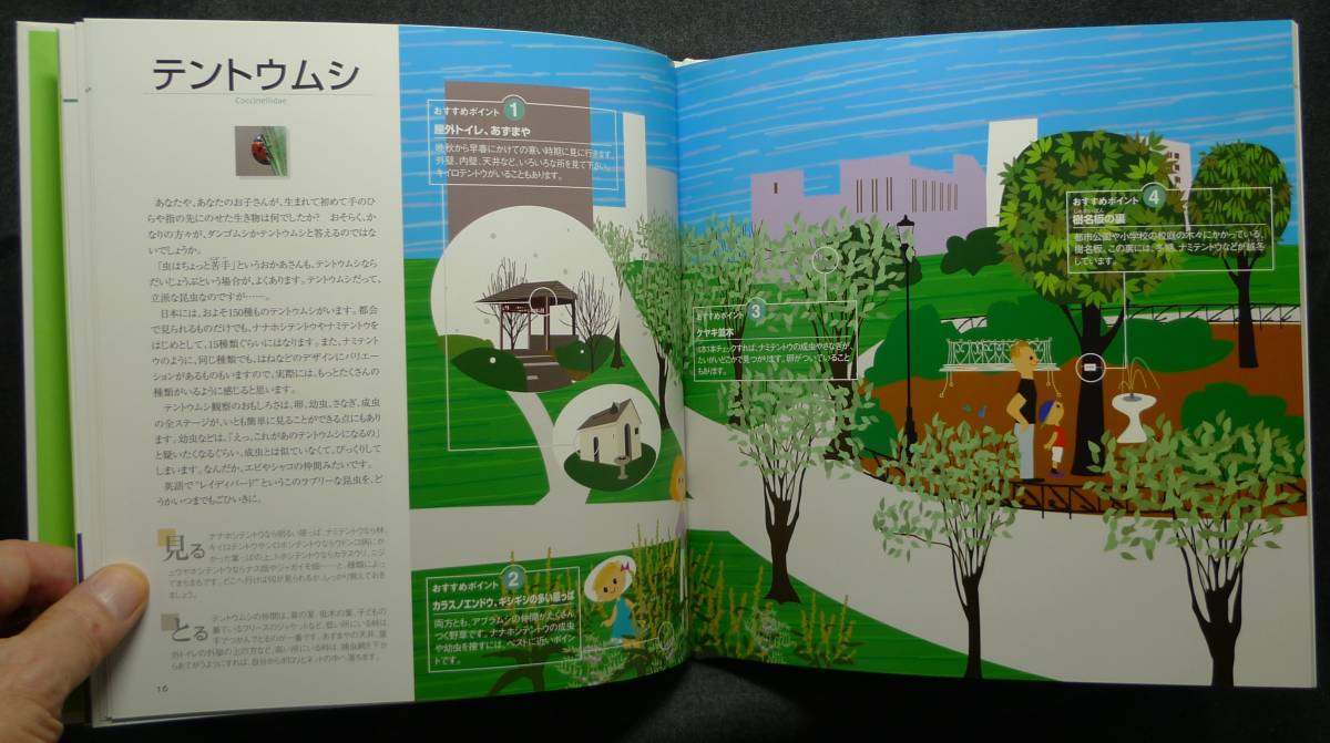 [ super rare ][ the first version, new goods average beautiful goods ] secondhand book family . see attaching . street. insect .. hand book author : Sasaki . illustration : Hachinohe ...( stock ) peak . company 