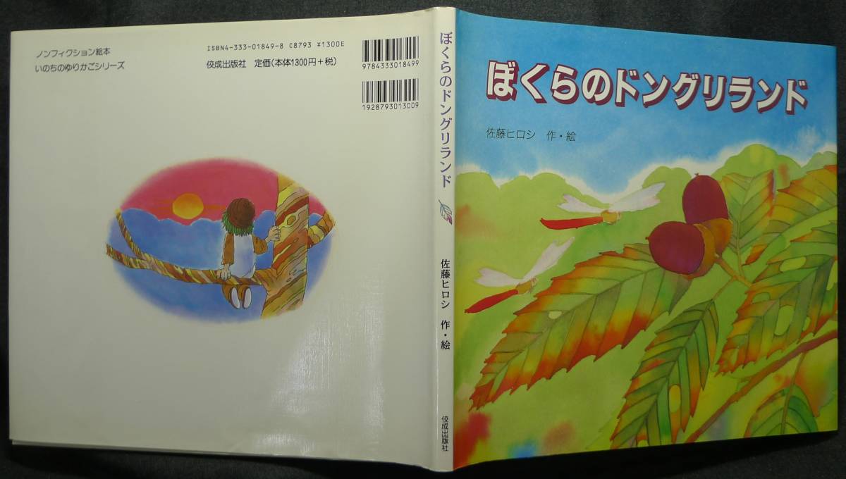 【希少、初版、美品】古本　ぼくらのドングリランド　ノンフィクション絵本　いのちのゆりかごシリーズ 作絵：佐藤ヒロシ　佼成出版社_画像2