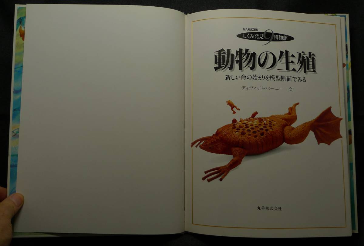 【超希少】【美品】古本　動物の生殖　しくみ発見博物館９　新しい命の始まりを模型断面でみる　文：ディヴィッド・バーニー　丸善(株)_画像4