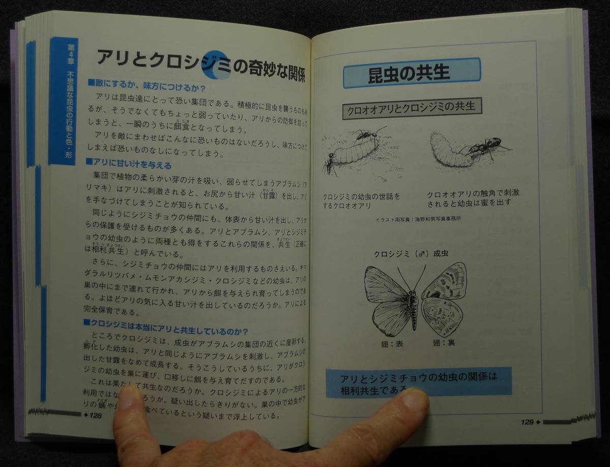 【超希少】【美品】古本　図解雑学　昆虫の科学　著者：出嶋利明　(株)ナツメ社_画像9