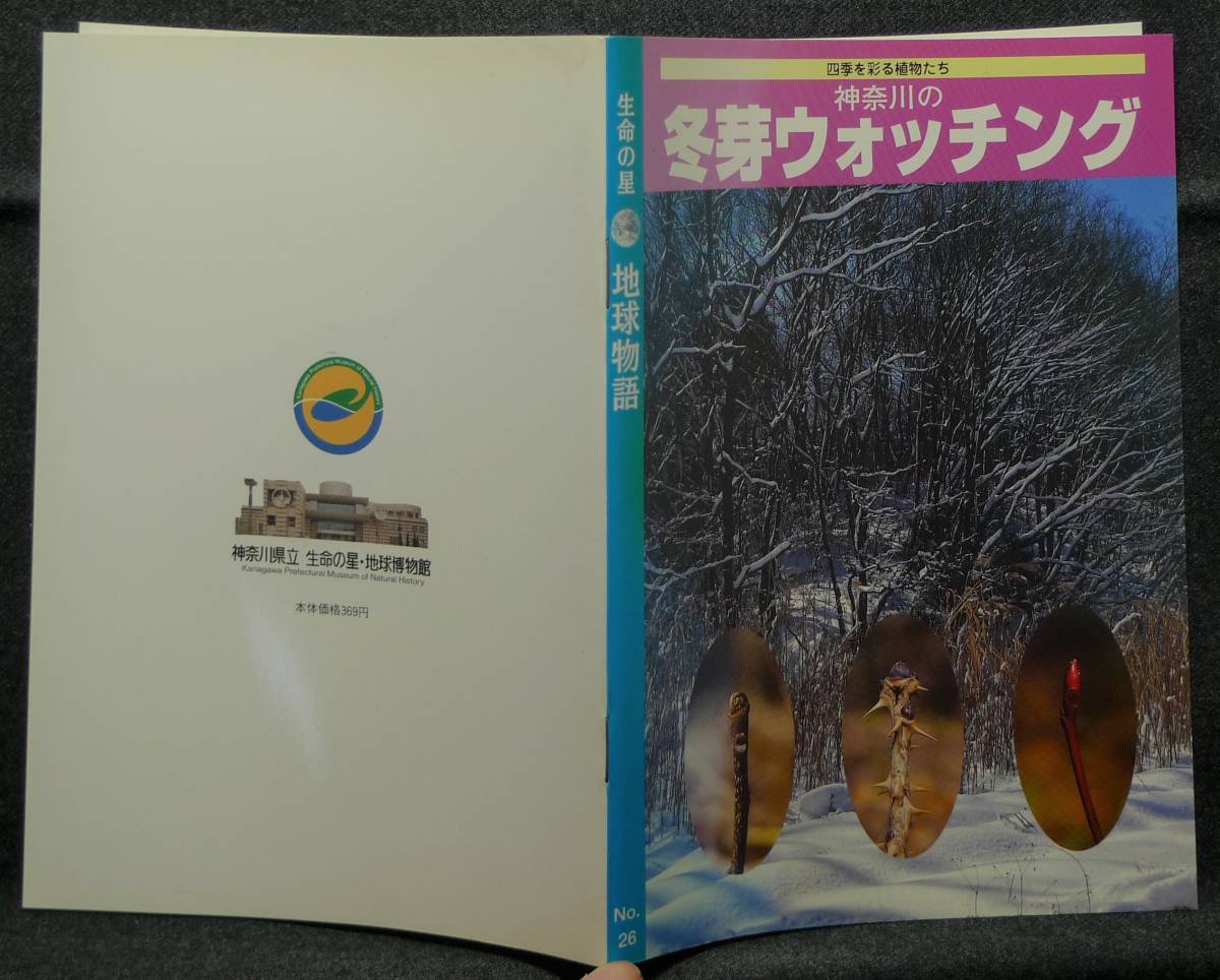 【超希少、初版、美品】古本　神奈川の　冬芽ウォッチング　四季を彩る植物たち　生命の星地球物語　NO.26　勝山輝男　オールプランナー_画像2