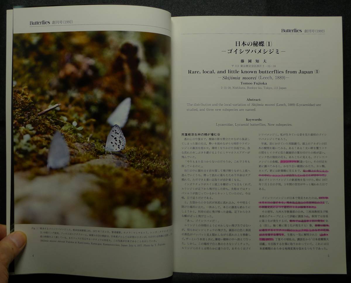 超希少、美品】古本 バタフライズ Butterflies 創刊~15号 超希少、美品】古本 バタフライズ Butterflies 創刊~15号
