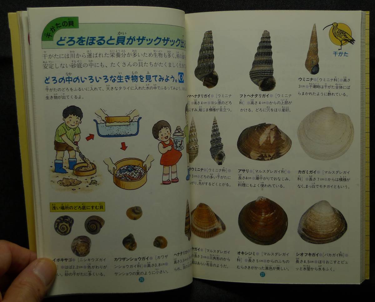 ヤフオク 超希少 美品 古本 海辺や干がた 干がた ヤフオク 超希少 美品 古本 海辺や干がた 干がた