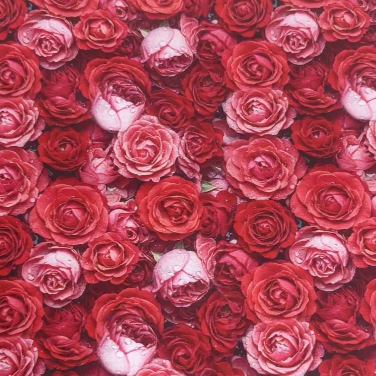 長さ90cm*110cm(幅) 3D立体感赤薔薇コットン生地プリント生地ハンドメイド用 シーチングハギレ生地