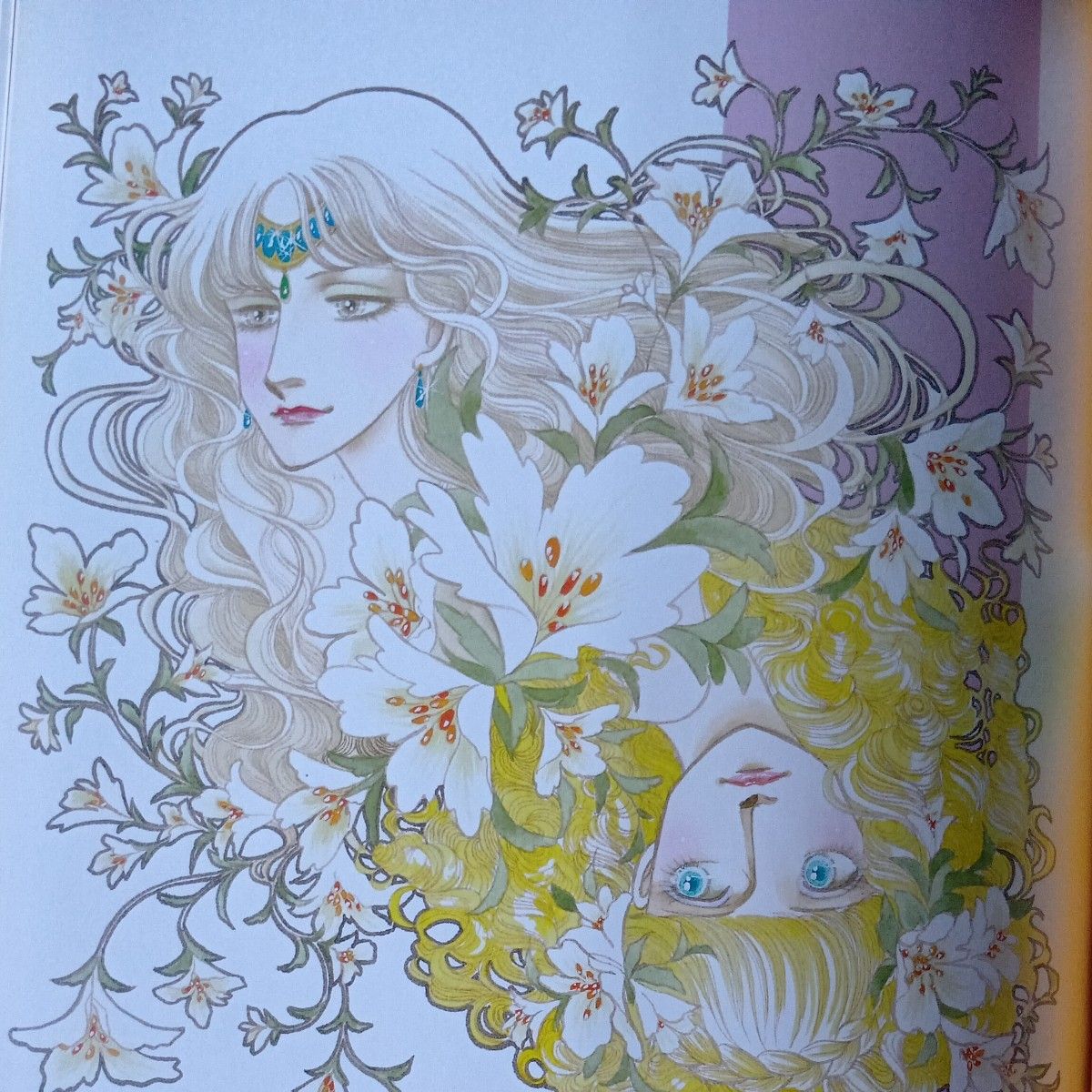 一条ゆかりデビュー３０周年イラスト集　集英社愛蔵版コミックス （集英社愛蔵版コミックス） 一条ゆかり／著