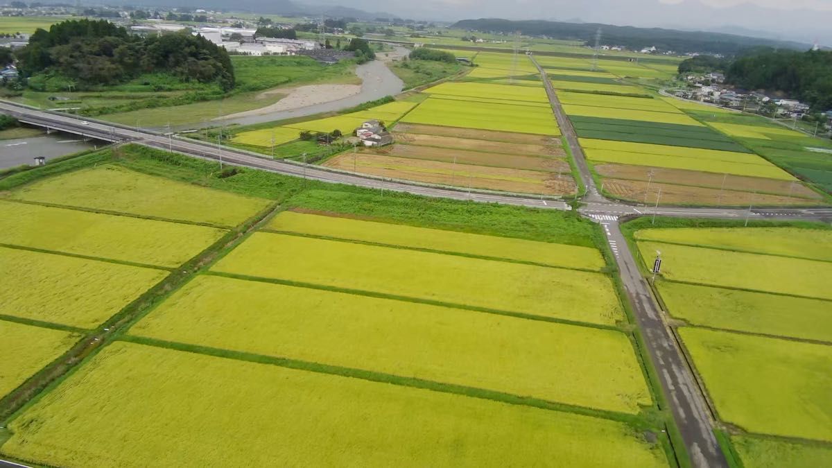 【令和6年 2024年産】栃木県産コシヒカリ玄米(農家直送) 30kg