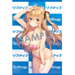流行り の ブランド - 2024年おすすめのアイテム満載 C95/コミケ/ソフマップ/ガールズコレクション/憂姫はぐれ/B2タペストリー/WIREFRAME タペストリー