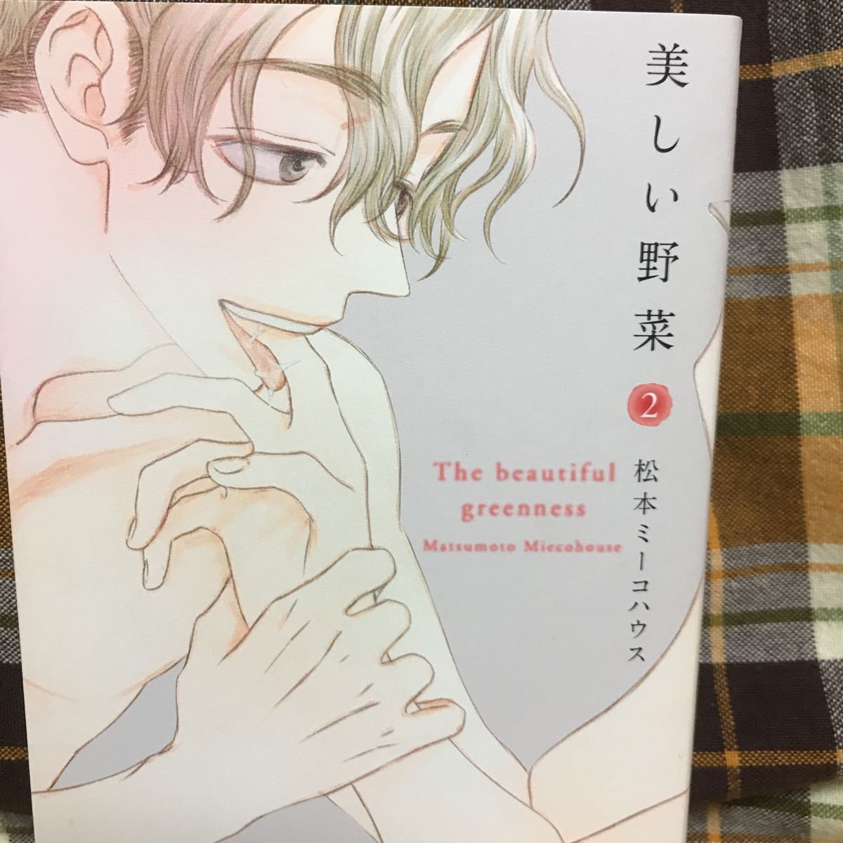 ヤフオク 松本ミーコハウス 美しい野菜 お遊びはそ