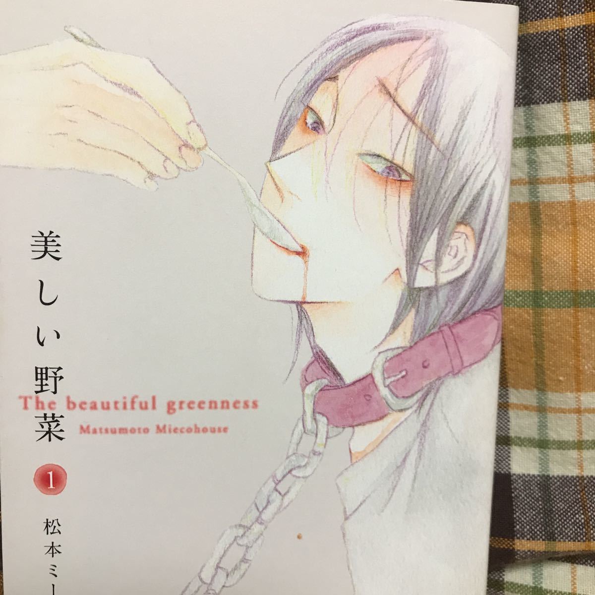 ヤフオク 松本ミーコハウス 美しい野菜 お遊びはそ