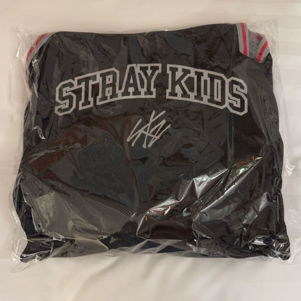 Stray Kids エコパスタジアム アップグレードグッズ Stray Kids アップグレードグッズ 特典 静岡エコパスタジアム