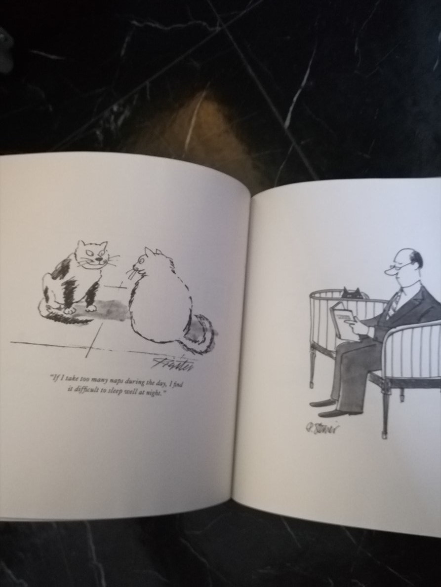 The New Yorker Book of Cat Cartoons The New Yorker. кошка You moa искусство искусство 