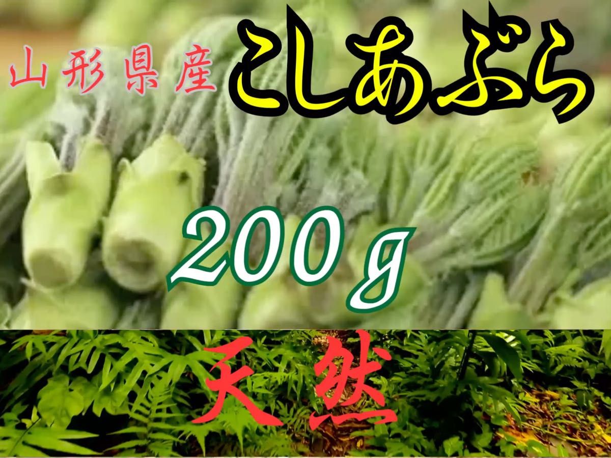 天然コシアブラ 200g