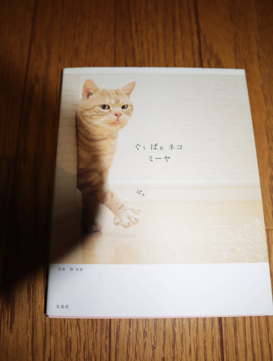 ** prompt decision *.... cat mi-ya* photoalbum * postage 198 jpy ~**q