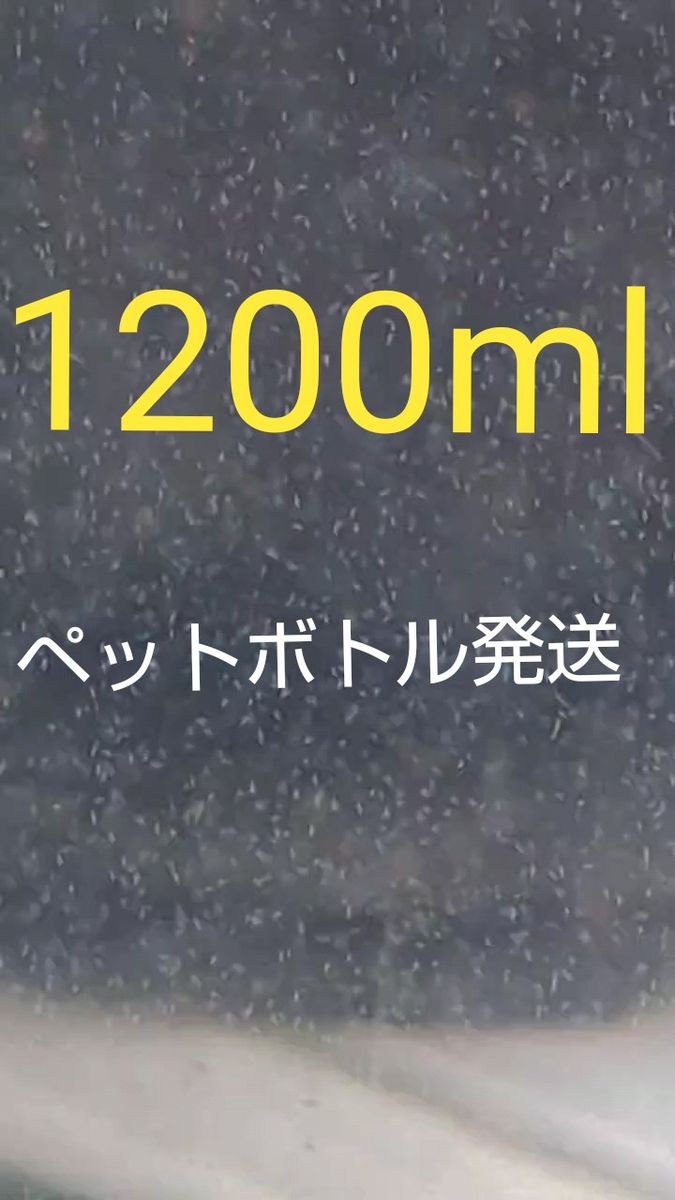 魚のエサ 1200ml。ペットボトル発送。ゾウリムシ メダカ 金魚 めだか エサ ミジンコ グリーンウォーター PSB