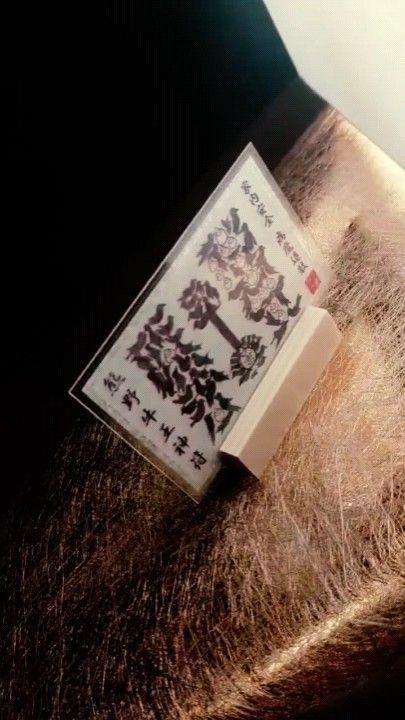 【熊野牛王神符】※八咫烏で描かれた『カラス文字』の御神符!☆家内安全 ☆厄除け ☆お守り ☆護符 ☆縁起物