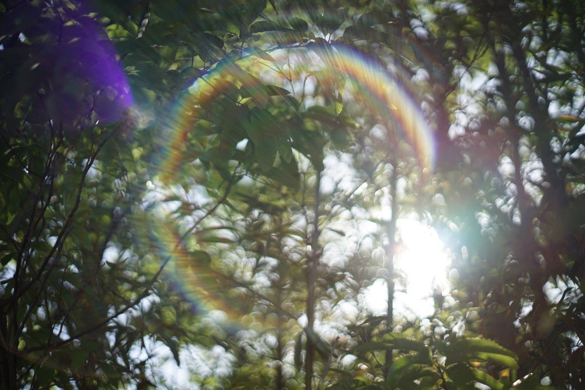 【前期型･作例あり】スーパータクマー 55mm f1.8 M42 (876907)