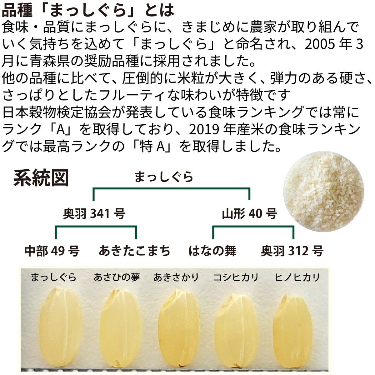 新米 青森県産まっしぐら20kg(10kg×2袋) 玄米ではなく精米で内容
