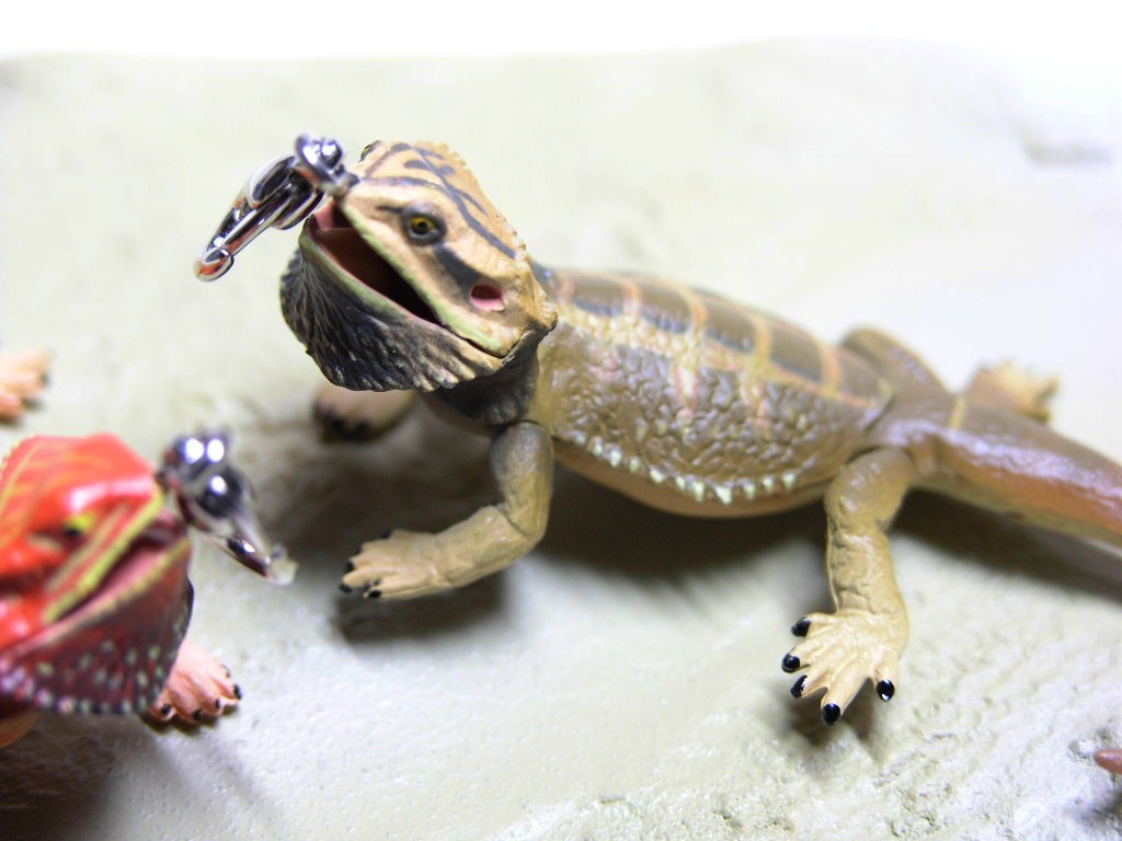 *. insect amphibia strap for mobile phone ftoagohige lizard terrarium strap * large liking pet accessory netsuke 