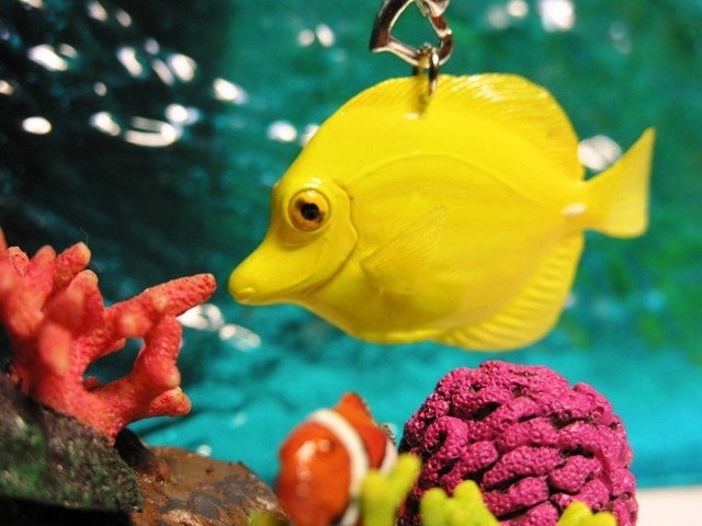 お魚携帯ストラップキイロハギ幸福カラー 水族館海水魚ストラップ ダイバーズアクセサリー 日本代購代bid第一推介 Funbid