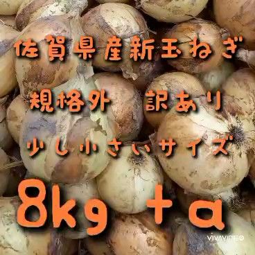 【規格外訳あり】佐賀県産新玉ねぎ8kg+α 新たまねぎ 農家直送