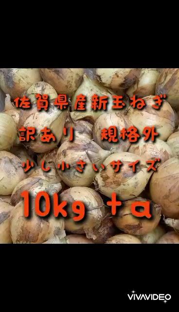 【規格外訳あり】小サイズ 佐賀県産新玉ねぎ10kg+α 新たまねぎ 農家直送