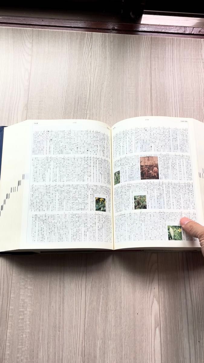 大辞泉 松村明監修 小学館 ー 国語辞典の決定版!