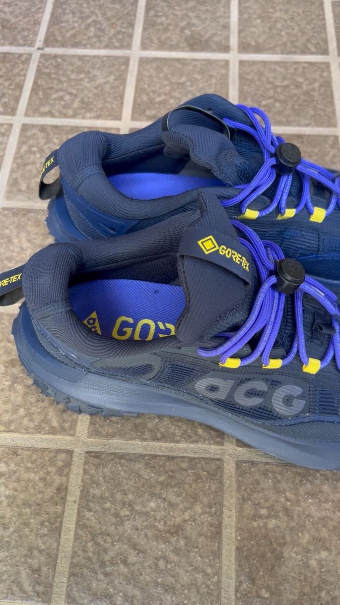 美品 NIKE ナイキ ACG マウンテン フライ 2 LOW GORE-TEX 26cm