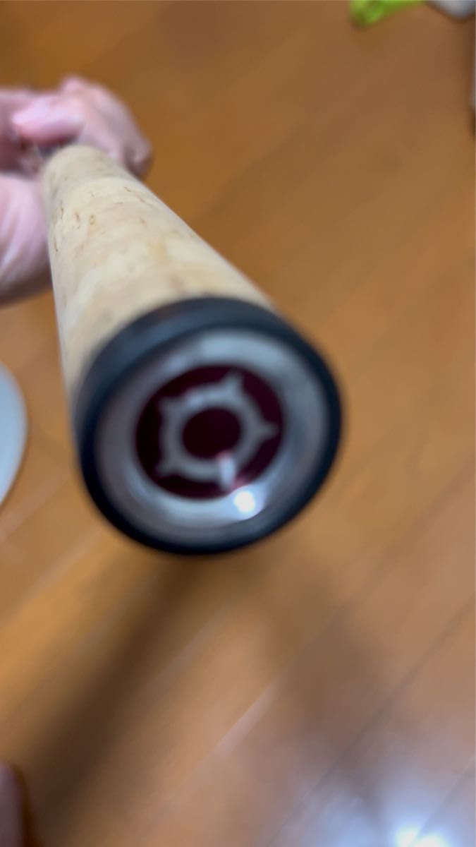 フィッシュマン Beams LOWER 8.6L 美品