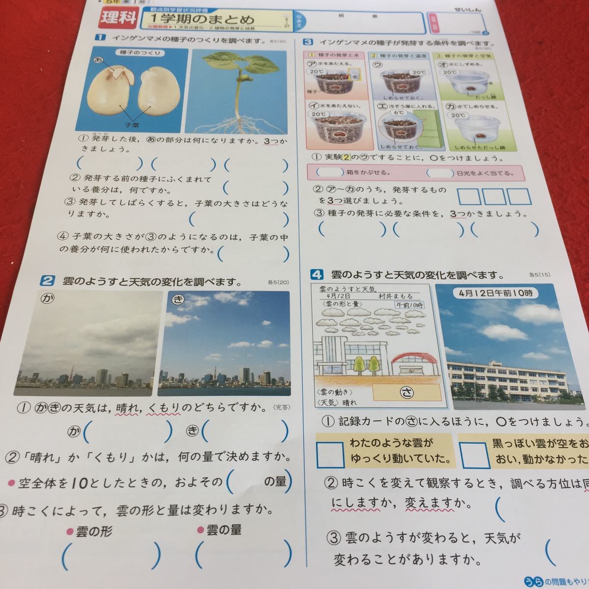 ヤフオク 0501h 015 家庭学習用 塗りつぶし有り 基礎基本