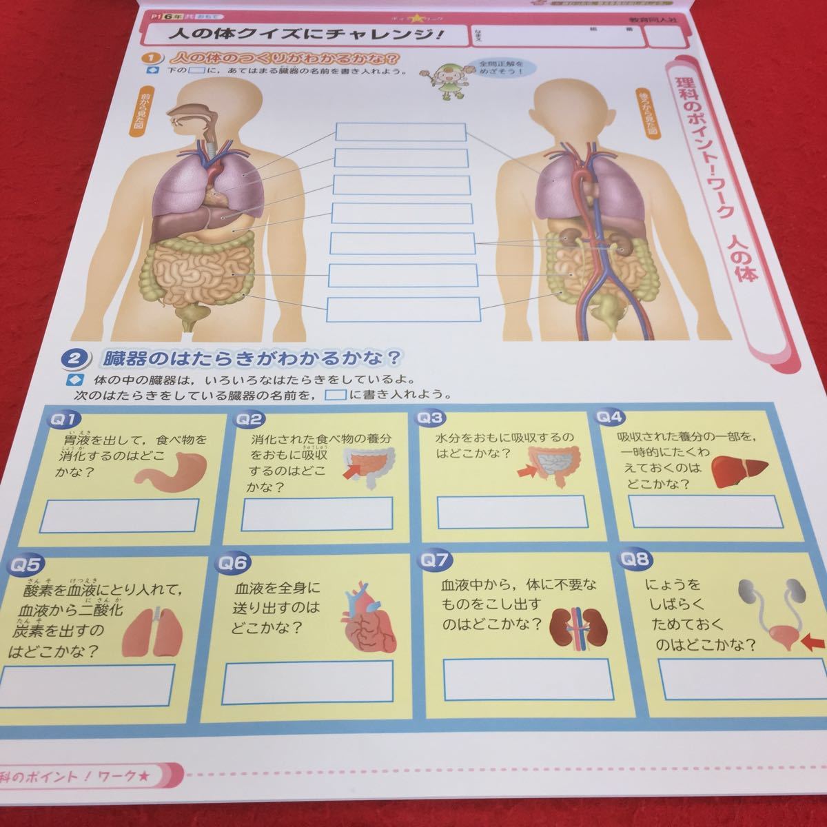 ヤフオク 0513h 037 家庭学習用 塗りつぶし有り 理科z 6年