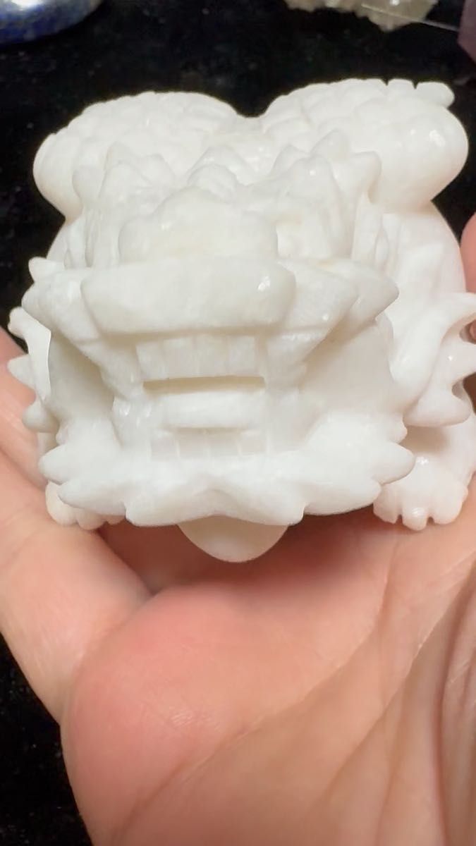 龍亀羽付き!