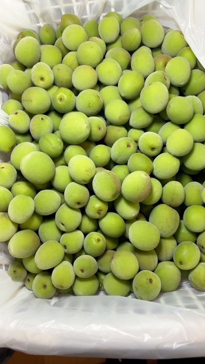 青梅 生梅 無農薬 3kg(S〜m)
