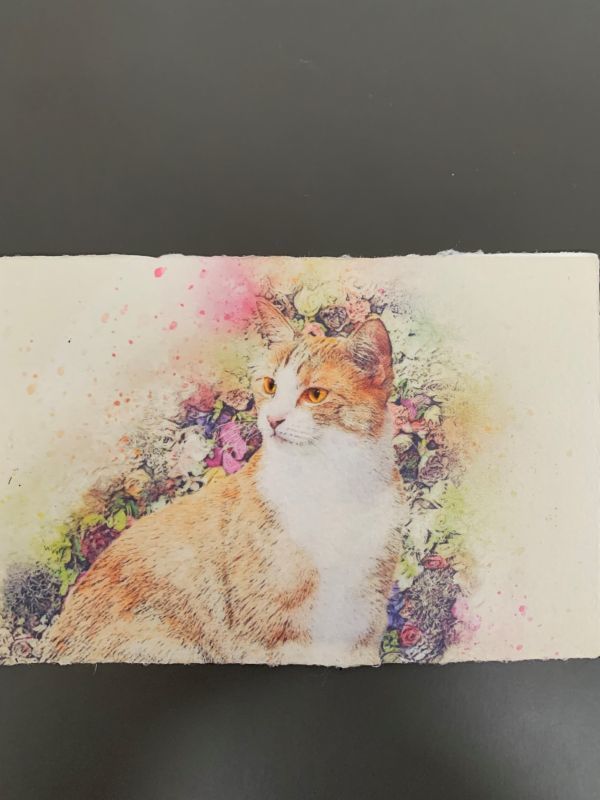 水彩画 猫 手描き 原画 2. - 通販 - gofukuyasan.com